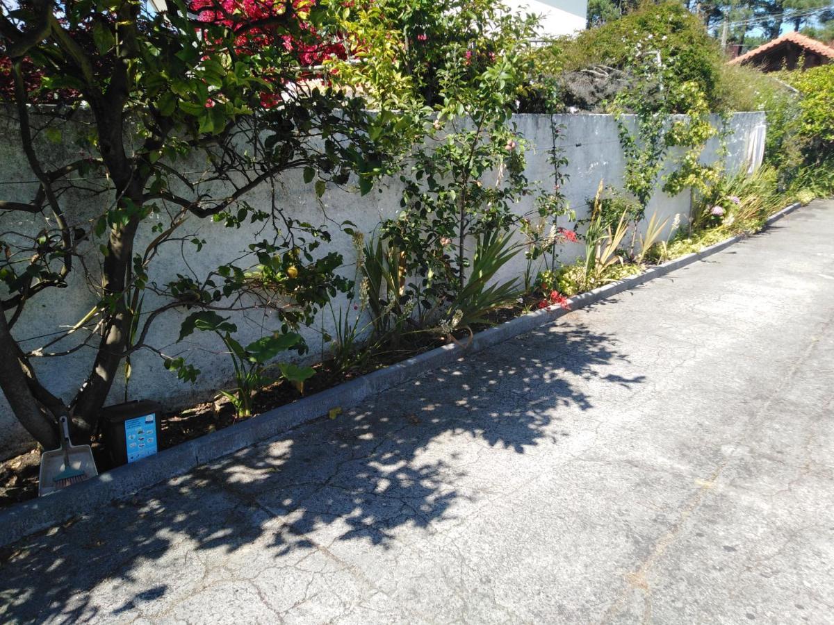 Cabedelo Seaside Guesthouse Viana do Castelo Luaran gambar