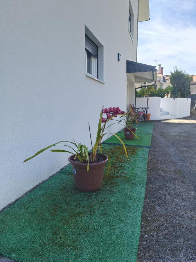 Cabedelo Seaside Guesthouse Viana do Castelo Luaran gambar