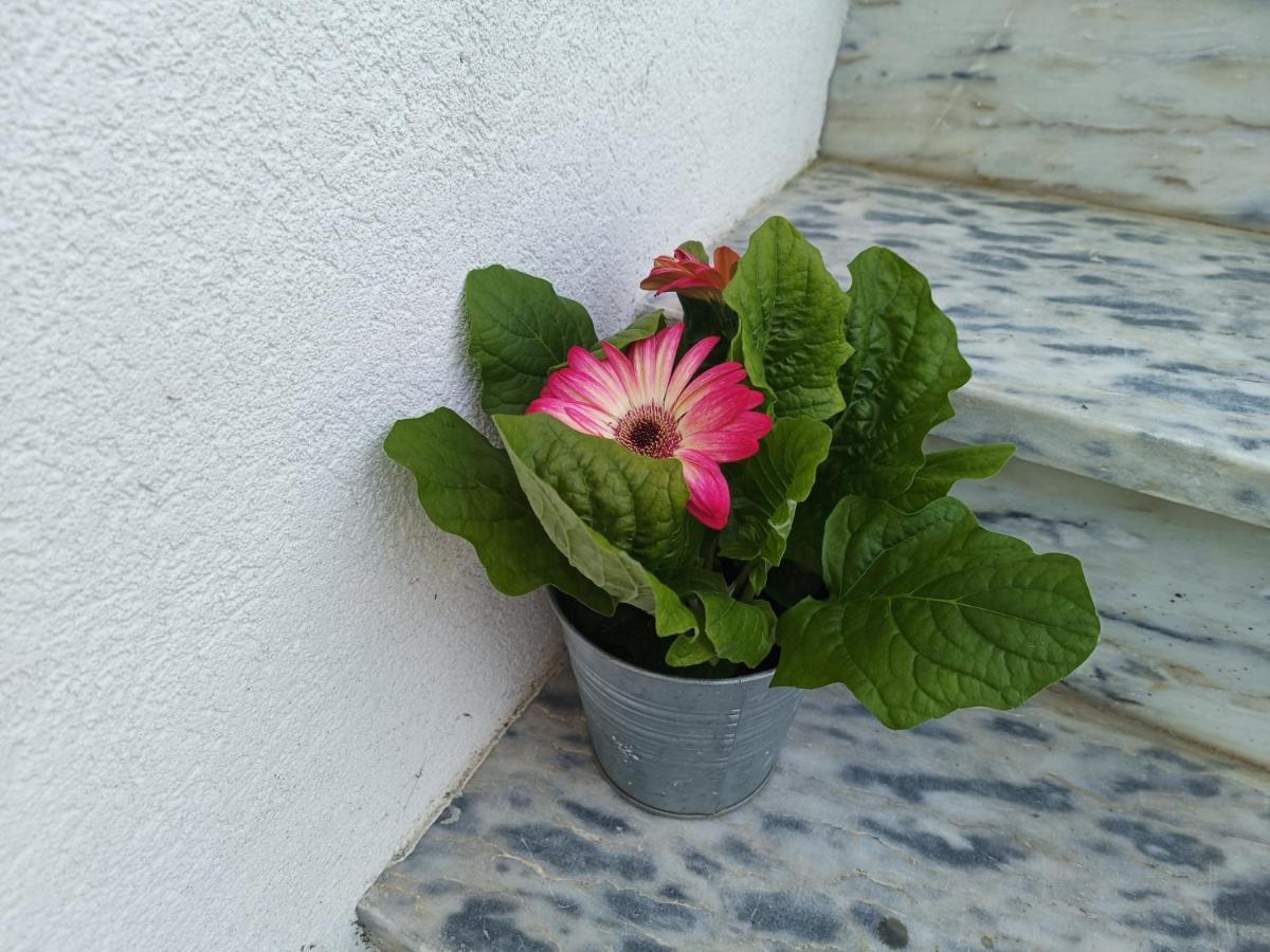 Cabedelo Seaside Guesthouse Viana do Castelo Luaran gambar